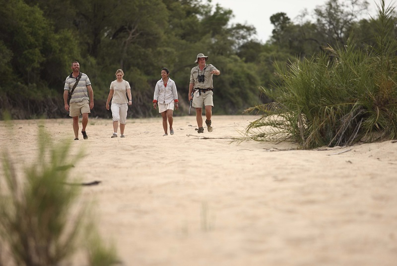 Photo of Ngala Tented Safari Camp Walking Safari